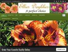 Tablet Screenshot of elliesdaylilies.com